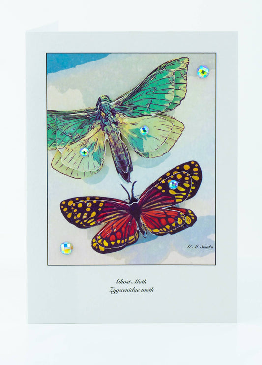 Tropical Moths - Natural History 3D Greeting Card