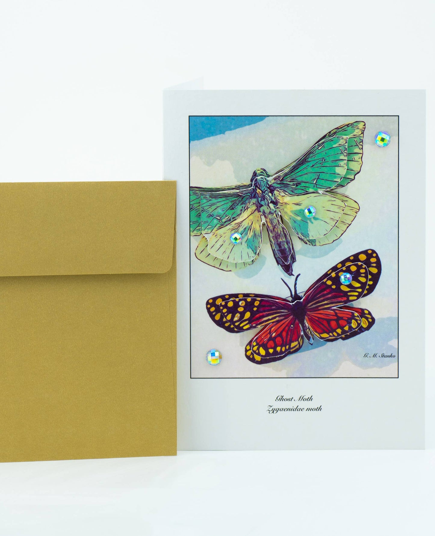 Tropical Moths - Natural History 3D Greeting Card