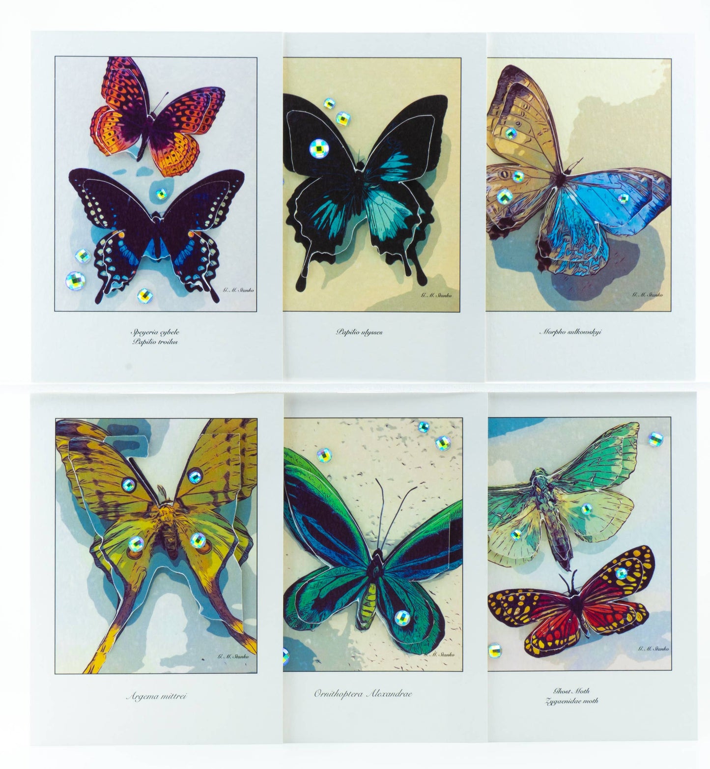 Tropical Moths - Natural History 3D Greeting Card