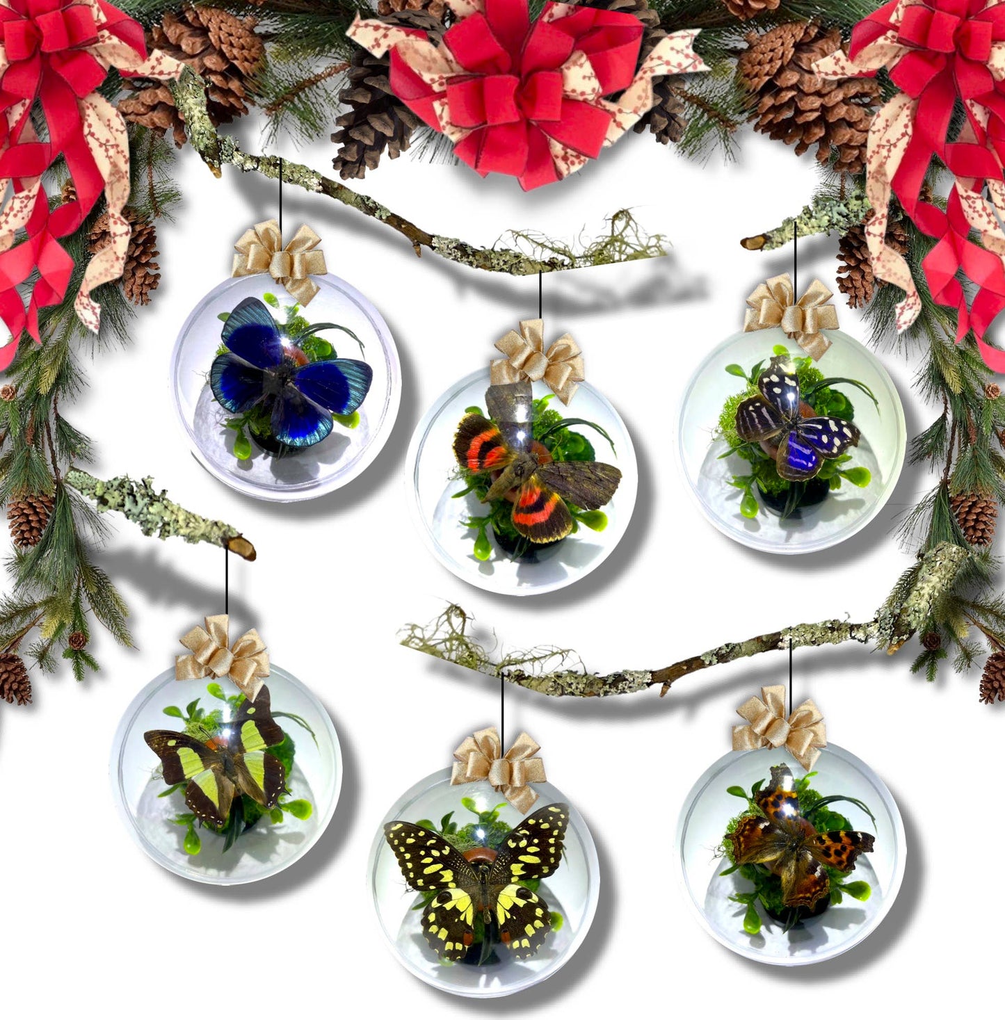Six MEDIUM 4.5 -Inch Holiday Tree Ornaments - Collection 