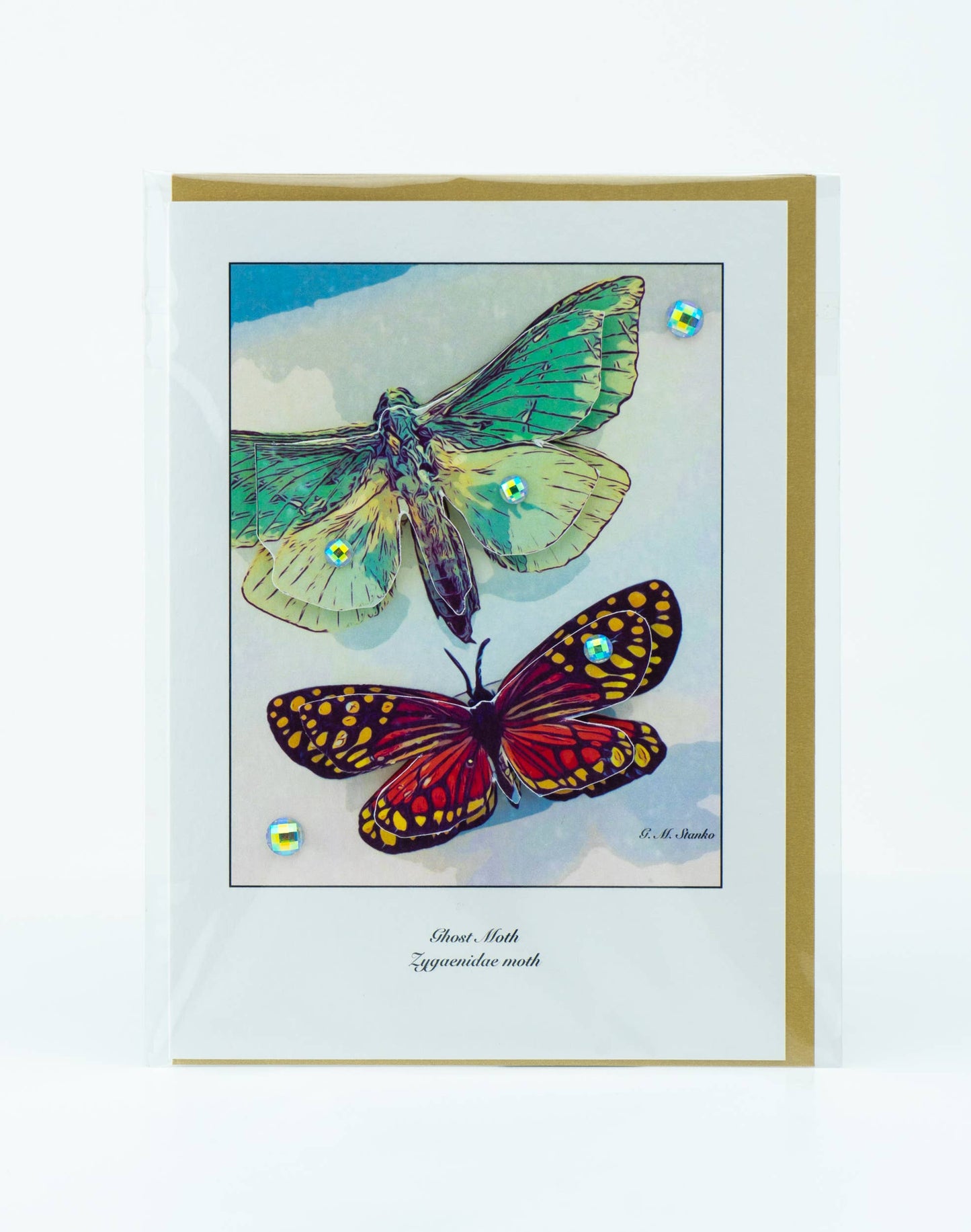 Tropical Moths - Natural History 3D Greeting Card